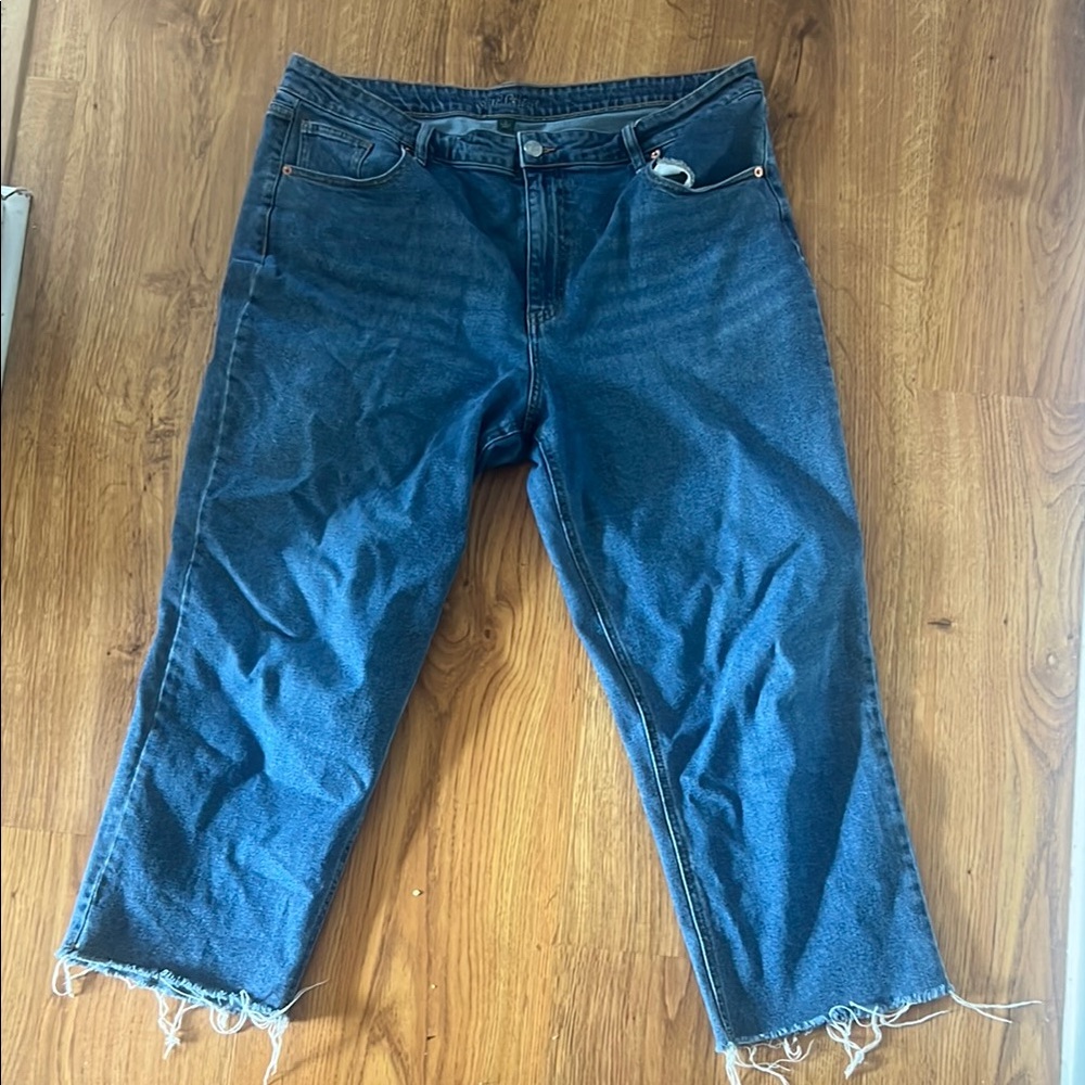 Wild Fable High Rise Blue Jeans with Frayed Hem
